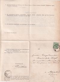 1875-08-06 DR Faltbrief m. 3pfge EF - Interssante Inhalt - - &euro;15,-